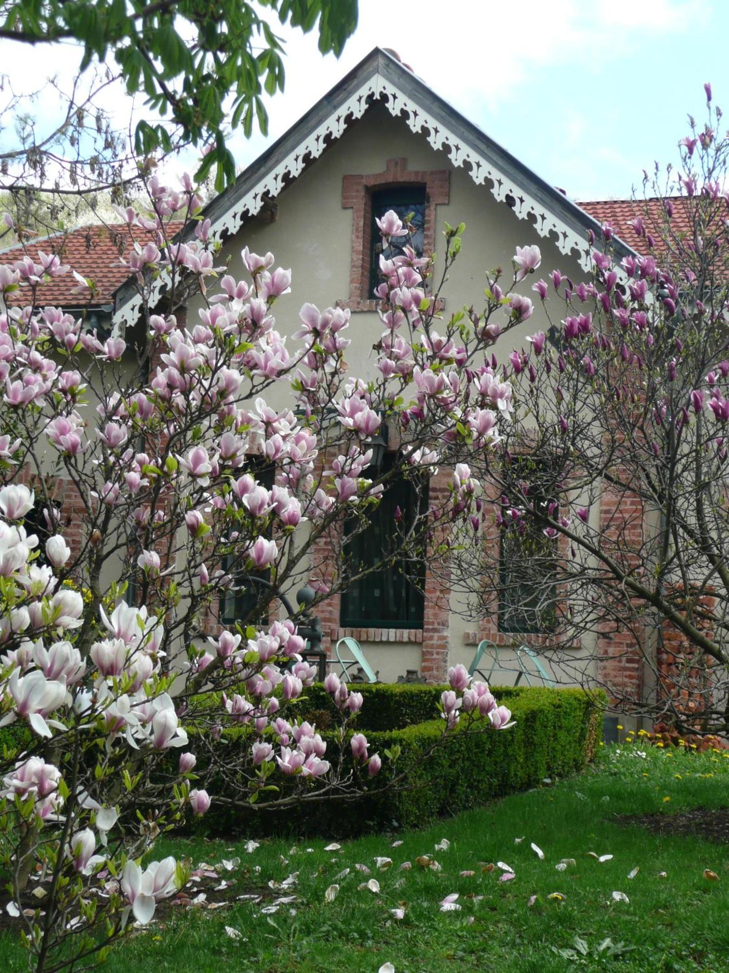 Au Fond De La Cour Bed and Breakfast Veyre-Monton Eksteriør billede